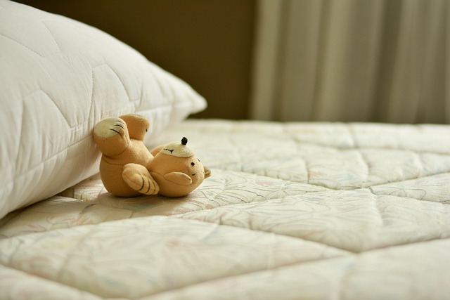 Zatroszcz się o spokojny sen Twojej całej rodziny - obejrzyj poduszki dekoracyjne w naszym internetowym sklepie!